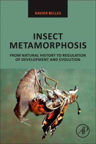 Könyv Insect Metamorphosis 