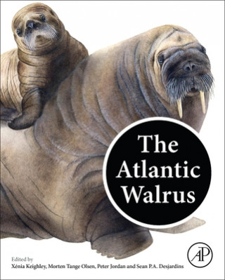 Book Atlantic Walrus Morton Tange Olsen