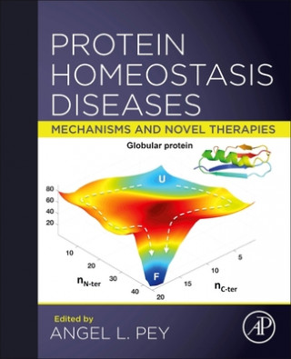 Carte Protein Homeostasis Diseases: Mechanisms and Novel Therapies 