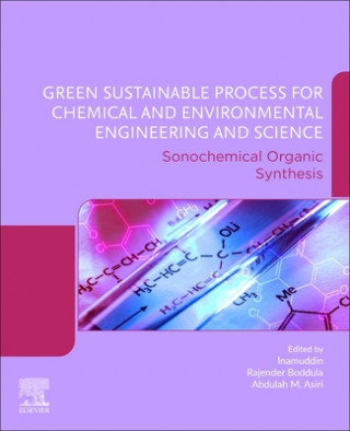 Kniha Green Sustainable Process for Chemical and Environmental Engineering and Science Rajender Boddula