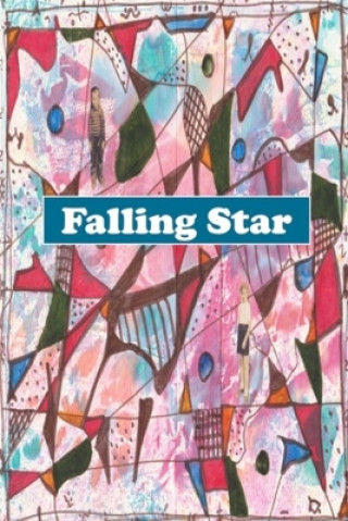 Book Falling Star 2019 