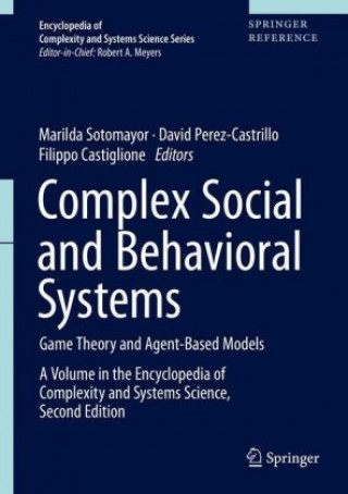 Kniha Complex Social and Behavioral Systems Marilda Sotomayor