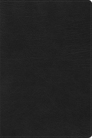 Kniha Rvr 1960 Biblia de Estudio Arcoiris, Negro Símil Piel Con Índice 