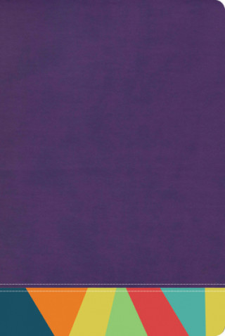 Książka Rvr 1960 Biblia de Estudio Arcoiris, Morado/Multicolor 