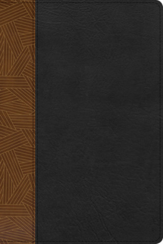 Kniha Rvr 1960 Biblia de Estudio Arcoiris, Tostado/Negro Símil Piel Con Índice 