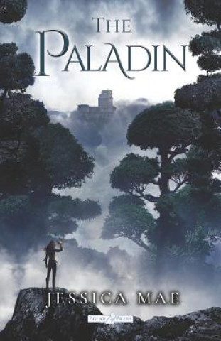 Kniha The Paladin Marc Goldner