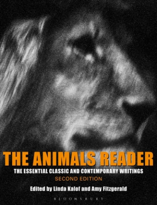 Kniha Animals Reader Amy Fitzgerald