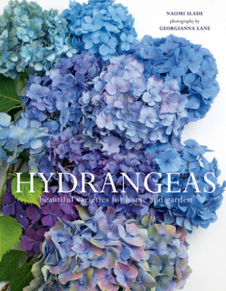 Kniha Hydrangeas: Beautiful Varieties for Home and Garden Georgianna Lane