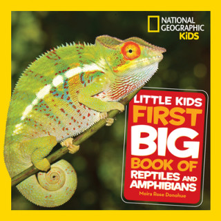 Kniha Little Kids First Big Book of Reptiles and Amphibians 