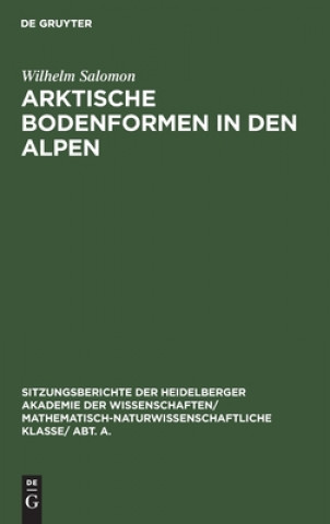 Kniha Arktische Bodenformen in Den Alpen 
