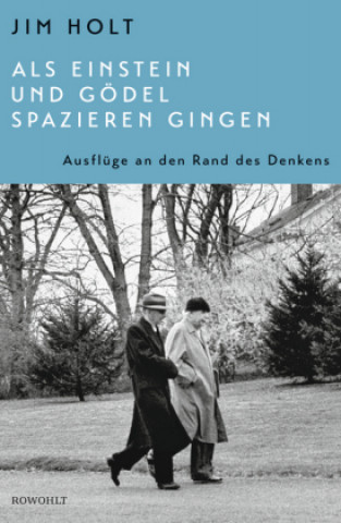 Könyv Als Einstein und Gödel spazieren gingen Monika Niehaus
