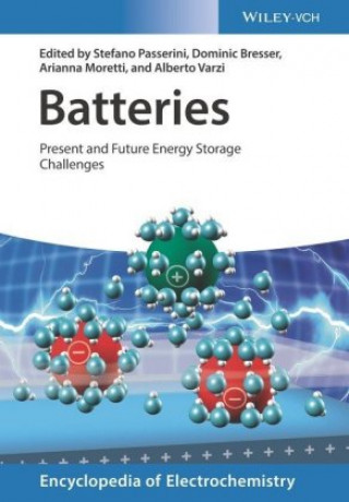 Carte Batteries - Present and Future Energy Storage Challenges Stefano Passerini