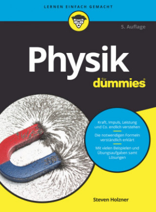Kniha Physik fur Dummies Anna Schleitzer