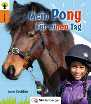 Kniha Ja sowas! Mein Pony für einen Tag June Crebbin