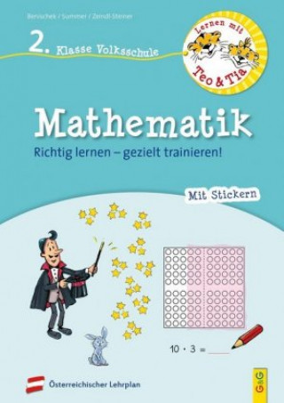 Kniha Lernen mit Teo und Tia Mathematik - 2. Klasse Volksschule Anita Summer