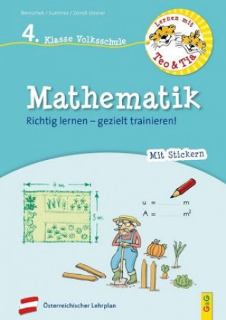 Book Lernen mit Teo und Tia Mathematik - 4. Klasse Volksschule Anita Summer