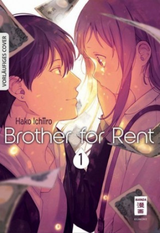 Buch Brother for Rent 01 Monika Hammond