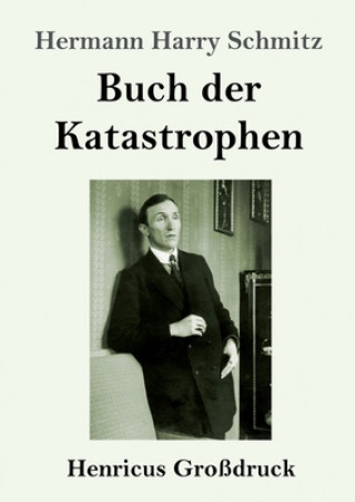 Kniha Buch der Katastrophen (Grossdruck) Hermann Harry Schmitz