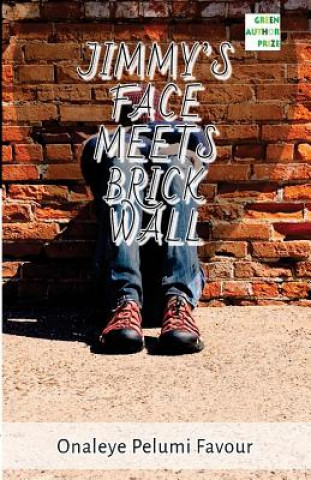 Book Jimmy's Face Meets Brick Wall: A story by Fapelo 