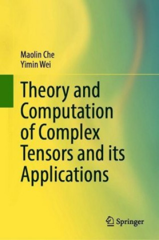Buch Theory and Computation of Complex Tensors and its Applications Maolin Che