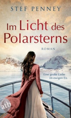 Könyv Im Licht des Polarsterns Stef Penney