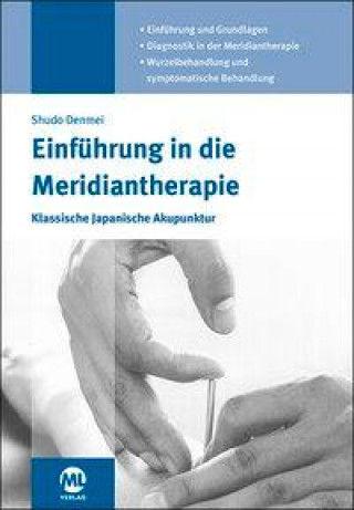 Kniha Einführung in die Meridiantherapie Shudo Denmei