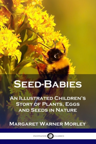 Kniha Seed-Babies Margaret Warner Morley