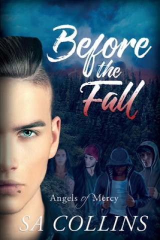 Knjiga Before the Fall S. A. Collins
