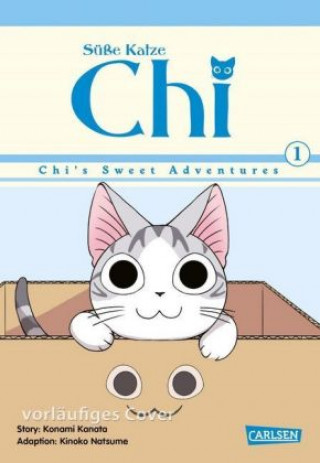 Kniha Süße Katze Chi: Chi's Sweet Adventures 1 Kinoko Natsume