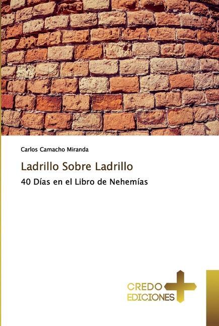 Książka Ladrillo Sobre Ladrillo 