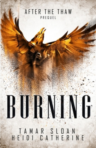 Kniha Burning Tamar Sloan