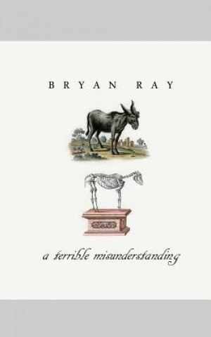 Könyv A Terrible Misunderstanding Bryan Ray