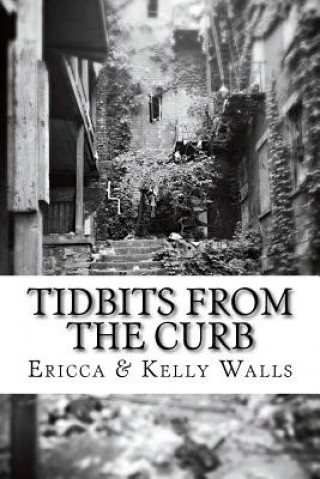 Knjiga Tidbits From the Curb Kelly D Walls