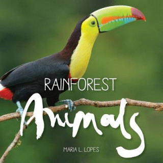 Book Rainforest Animals Maria L Lopes