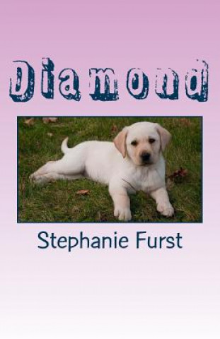 Knjiga Diamond Stephanie Furst