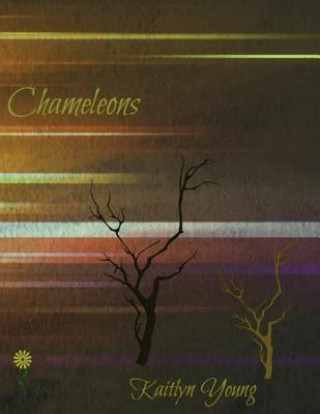 Kniha Chameleons: Young Adult Novel Kaitlyn E Young