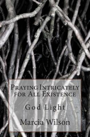 Könyv Praying Intricately for All Existence: God Light Marcia Wilson