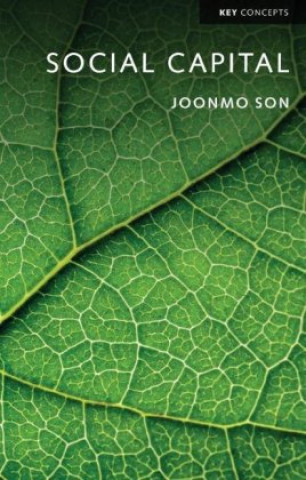 Buch Social Capital Son