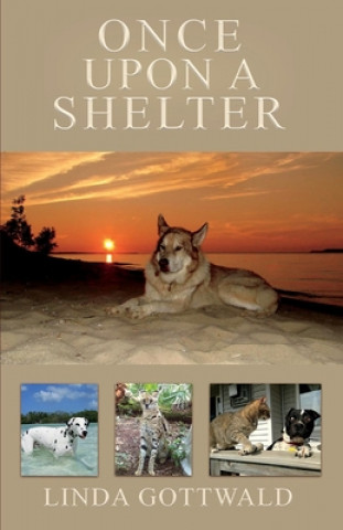 Carte Once Upon a Shelter: Volume 1 Gottwald