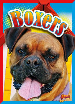 Buch Boxers Margaret Mincks