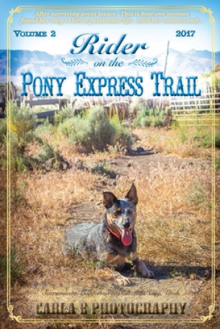 Könyv Rider on the Pony Express Trail Martindale Wendy