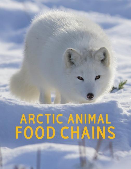 Buch Arctic Animal Food Chains 