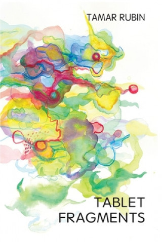 Knjiga Tablet Fragments Tamar Rubin