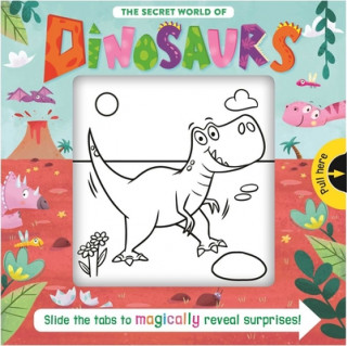 Kniha The Secret World of Dinosaurs: Slide the Tab Book 