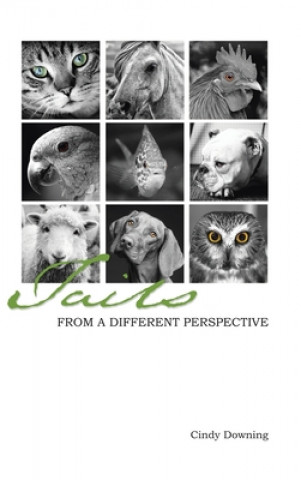 Carte Tails from a Different Perspective Cindy Downing