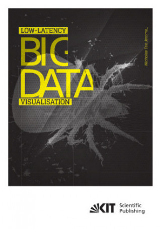 Könyv Low-latency big data visualisation 
