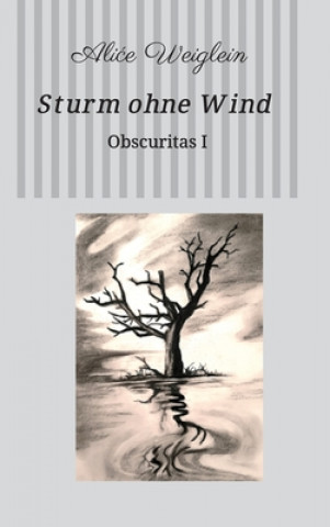 Book Sturm ohne Wind Alice Weiglein
