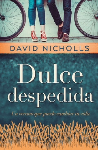 Buch Dulce Despedida NICHOLLS