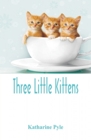 Buch Three Little Kittens Katharine Pyle
