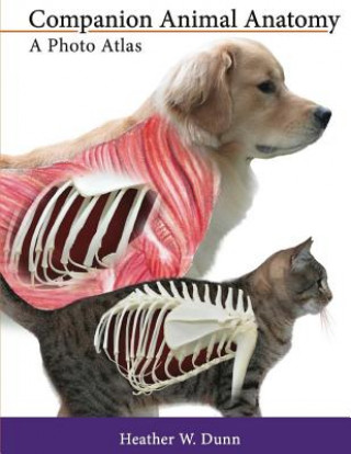 Kniha Companion Animal Anatomy: A Photo Atlas Heather W Dunn
